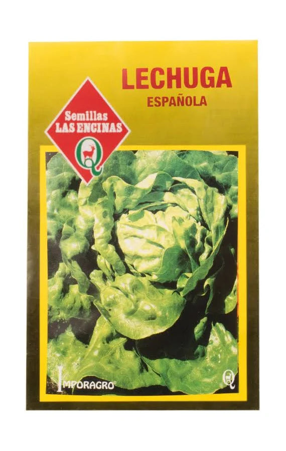 Semillas de Lechuga Española