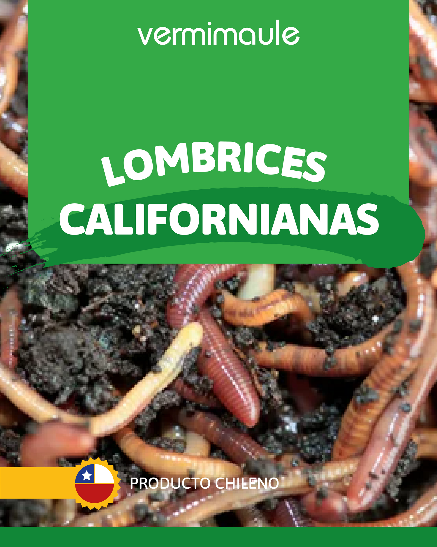 Lombrices Californianas