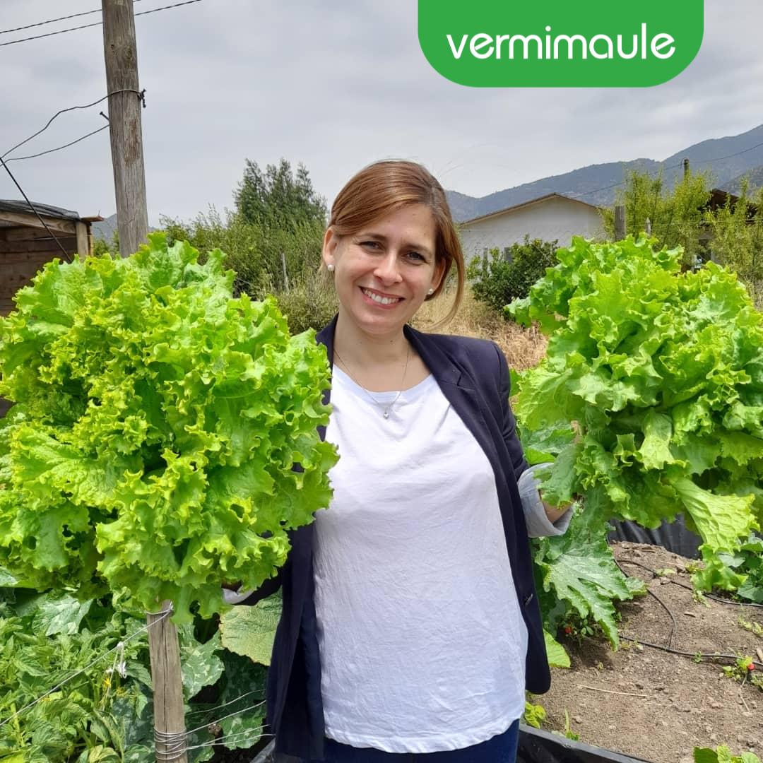 Bioestimulante - Ácidos Húmicos Líquidos -  Vigorfrut 5 litros