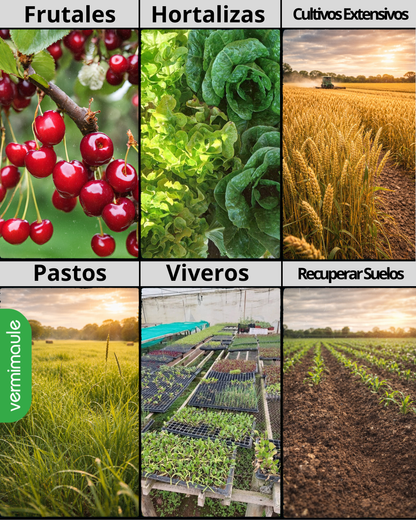 Bioestimulante - Ácidos Húmicos Líquidos -  Vigorfrut 1 litro