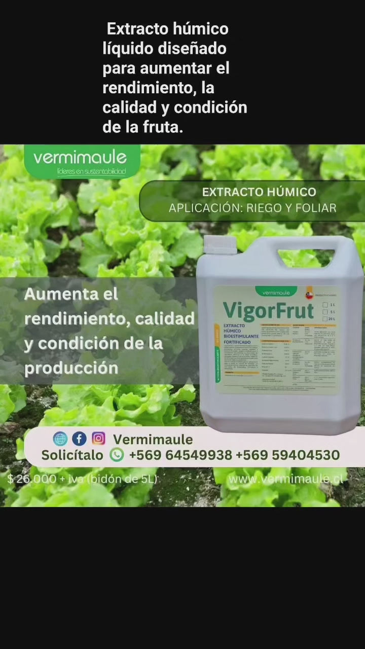 Cargar video: 