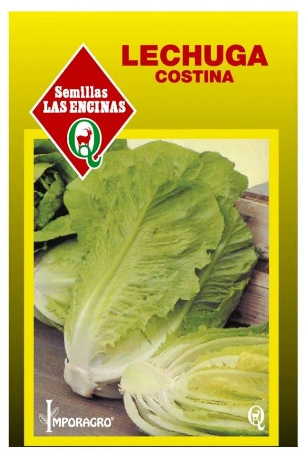 Semillas de Lechuga Costina